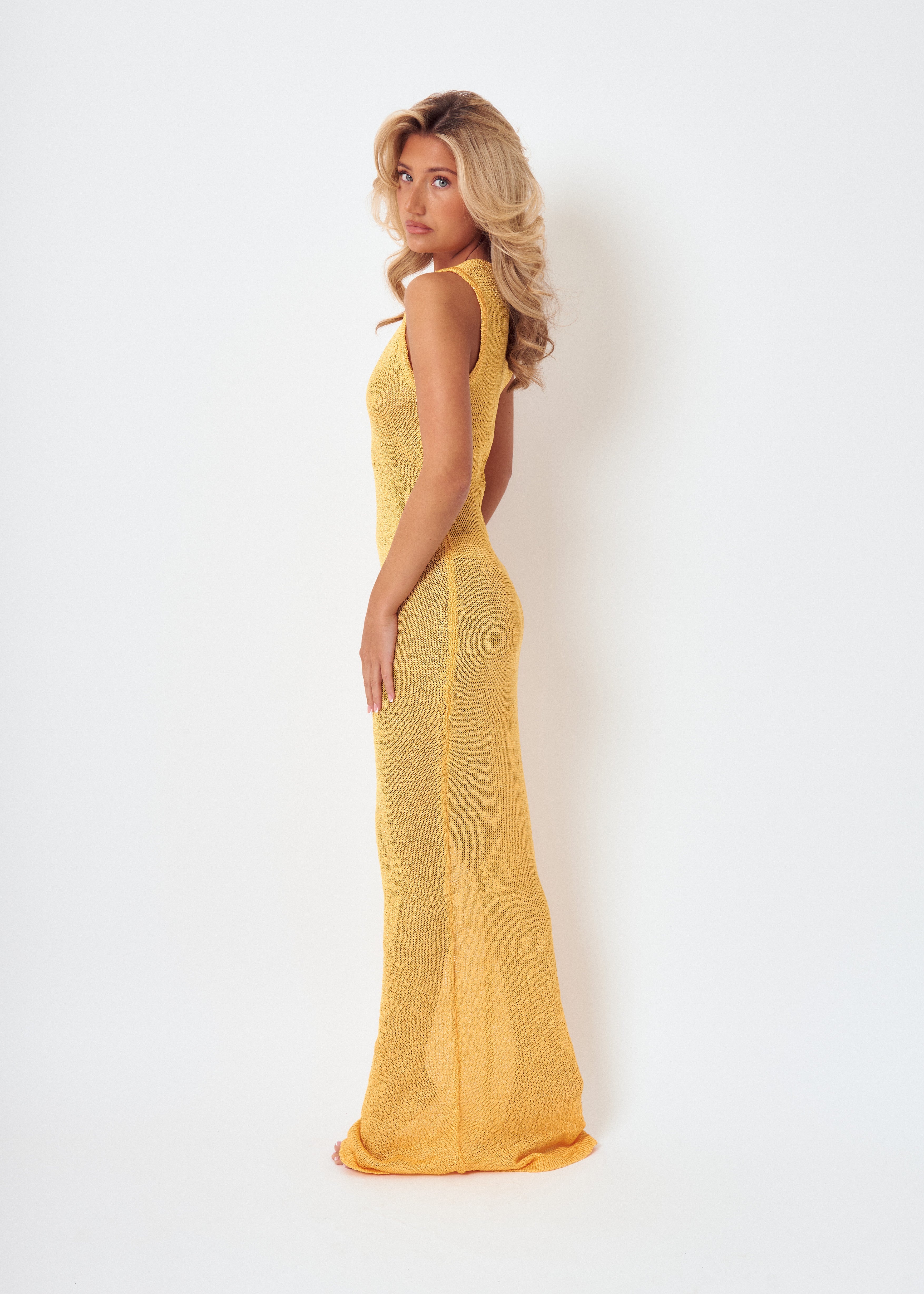 Ava Sparkle Knit Maxi Dress